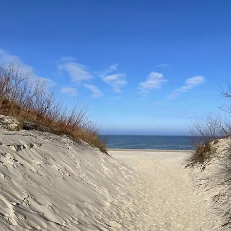 Magnolia Marina Lux &