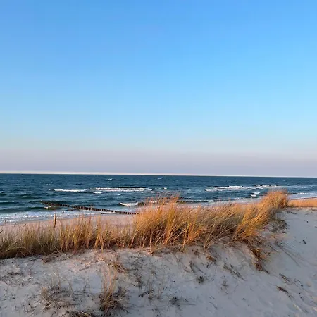 Magnolia Marina Lux & Apartment *