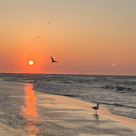 Magnolia Marina Lux & Apartment