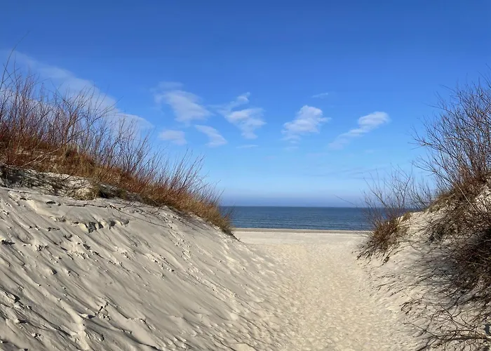 Magnolia Marina Lux &