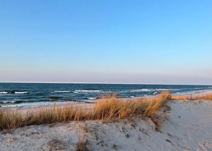 Magnolia Marina Lux & Apartment *