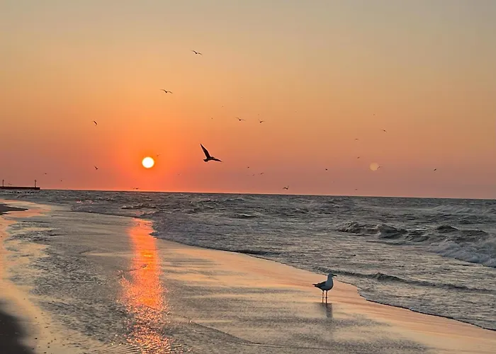 Magnolia Marina Lux & Apartment